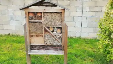 Un hôtel à insectes dans un jardin.