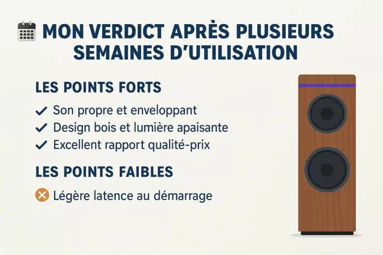Infographie : un aperçu rapide des points forts et faibles des tours de son lumineuses cosy Thomson DS702 après test.