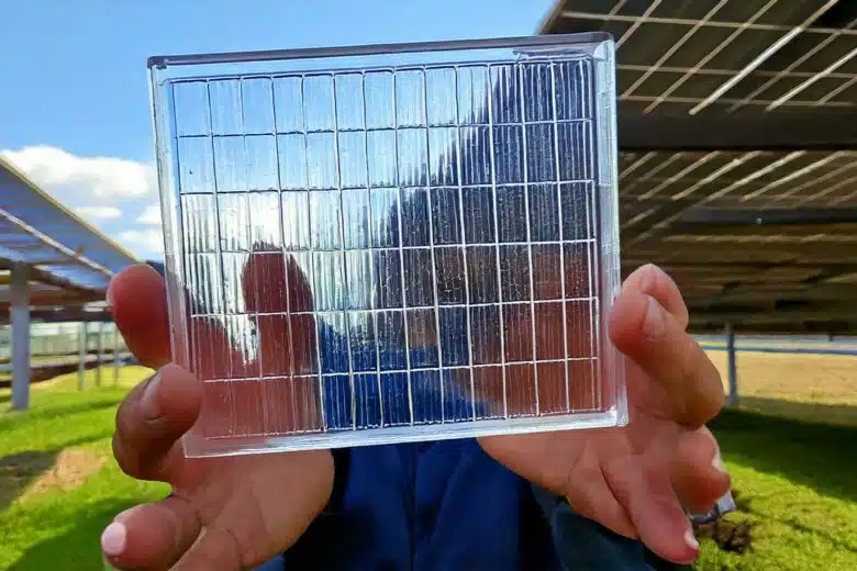 Les panneaux solaires sont également très utiles pour l'agrivoltaïsme. 