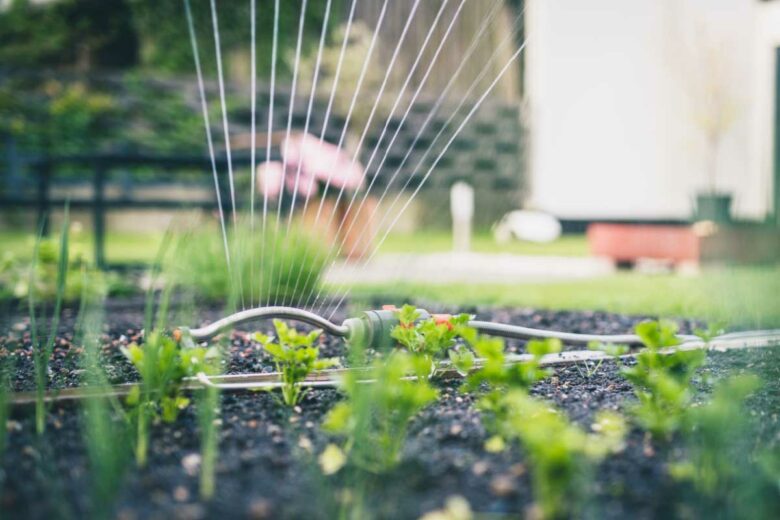 Irrigation automatique au jardin potager.