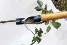Le sécateur du Ronce Cut.