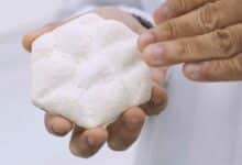 Une tuile biomimétique en mycelium.