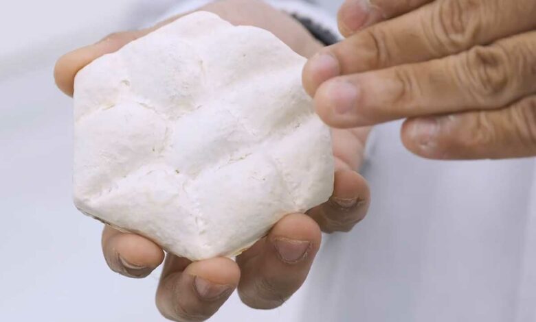 Une tuile biomimétique en mycelium.