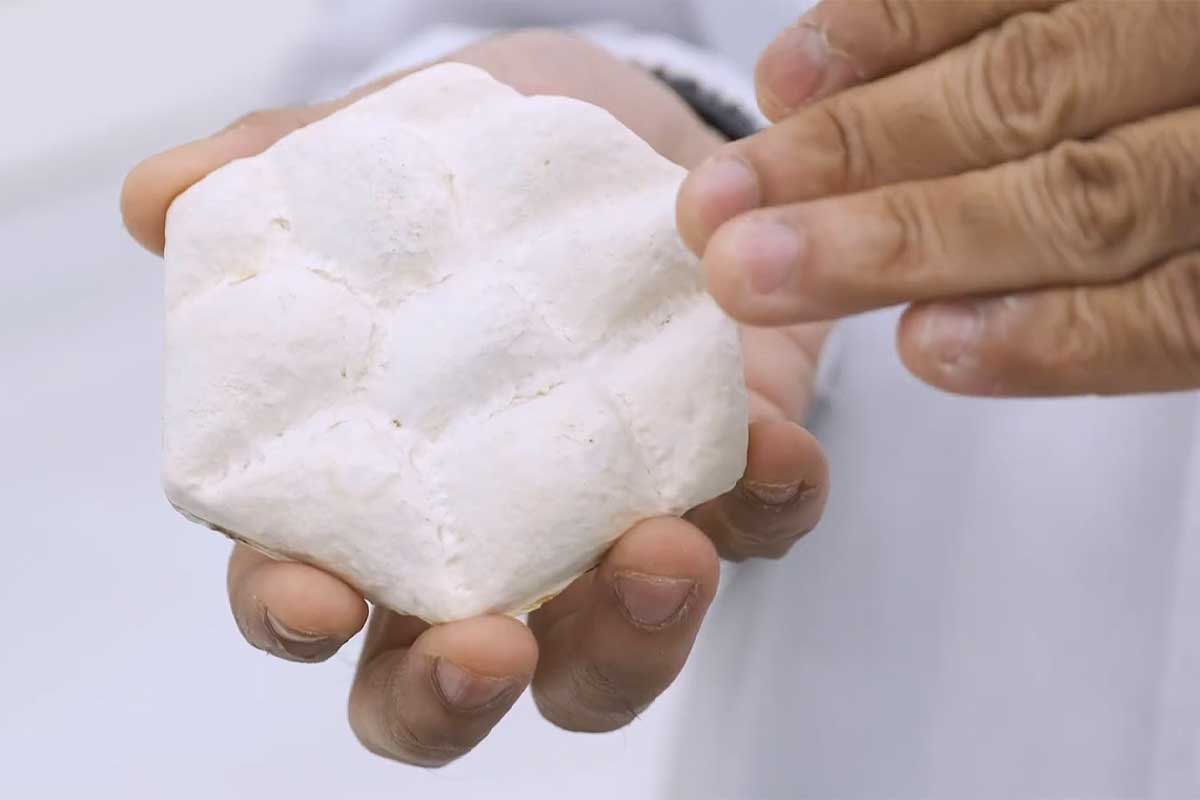 Une tuile biomimétique en mycelium.