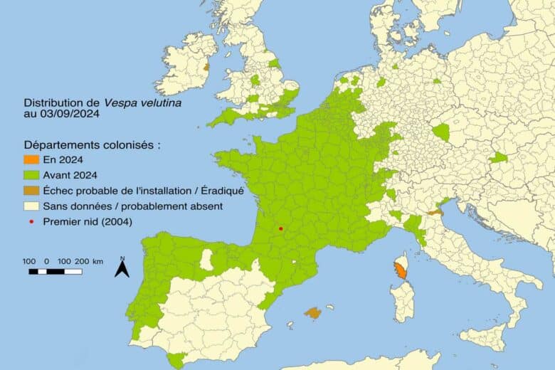 La carte de la prolifération du frelon asiatique en Europe.