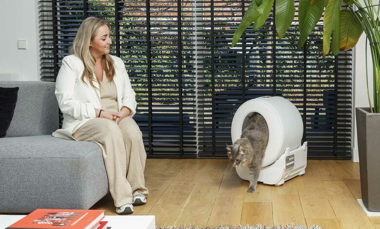 Une femme qui regarde son chat sortir de sa litière.