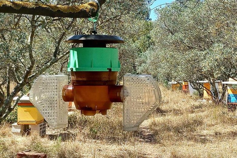 Un piège à frelons asiatiques installé près de ruches.