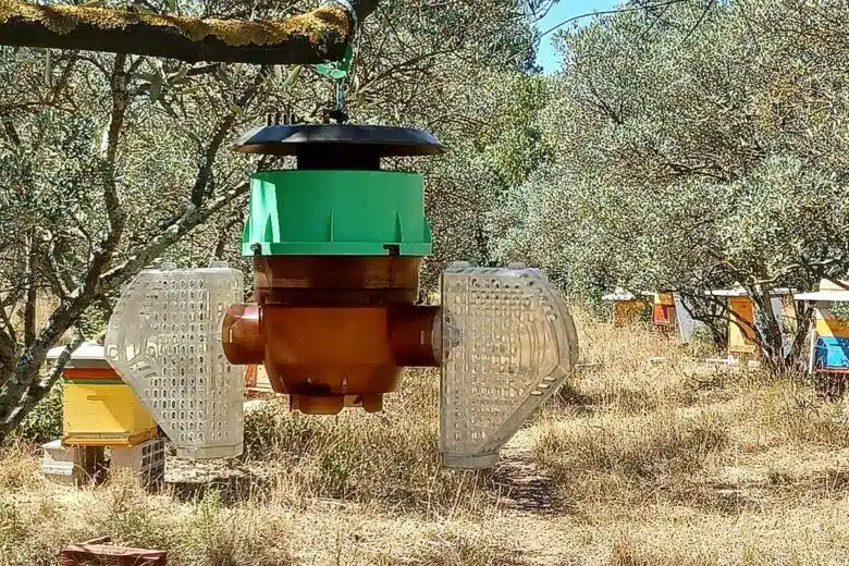 Un piège à frelons asiatiques installé près de ruches.