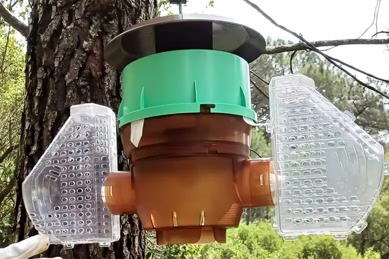 Un piège Velutina Trap.