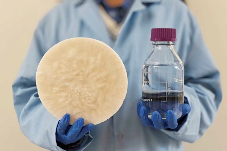 Un collecteur d'eau crée à partir de biomasse.