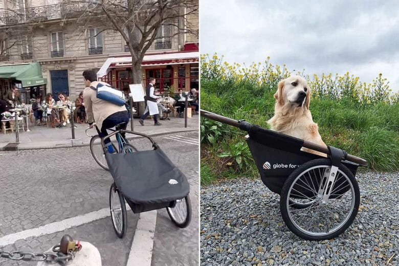 Une remorque pour transporter ce que vous souhaitez.