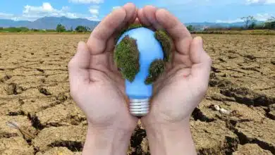 L'IA peut-elle nous aider à résoudre les problèmes de sécheresse dans le monde ?