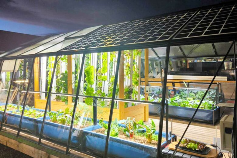 Une serre avec des panneaux solaires.
