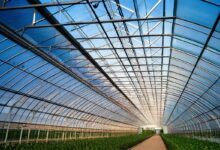 Une serre agricole solaire.