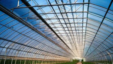Une serre agricole solaire.