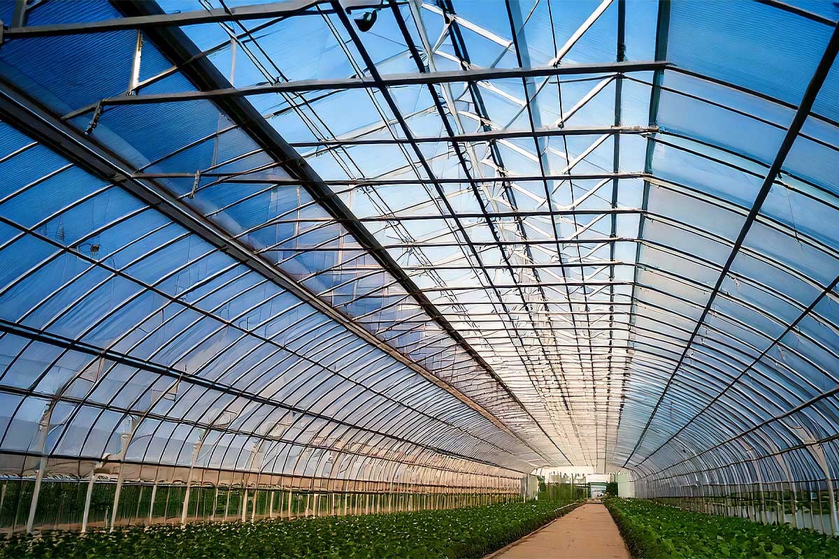 Une serre agricole solaire.