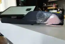 La spatule du TM7.