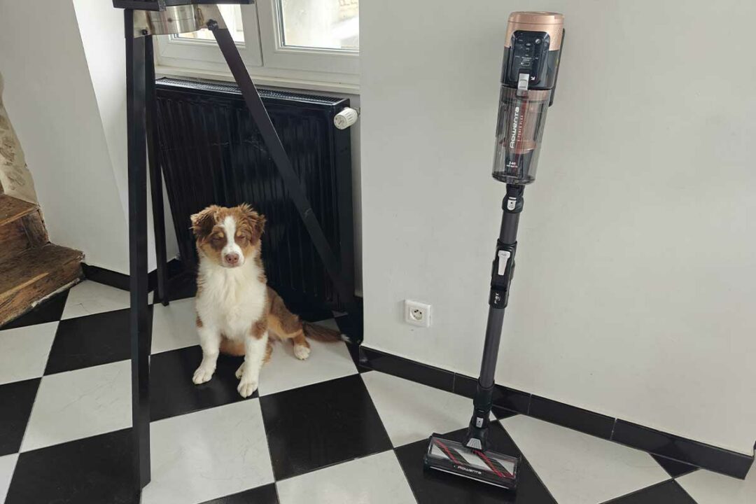 L'aspirateur balai Rowenta X-Force Flex 14.80