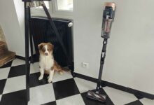 L'aspirateur balai Rowenta X-Force Flex 14.80