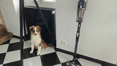 L'aspirateur balai Rowenta X-Force Flex 14.80
