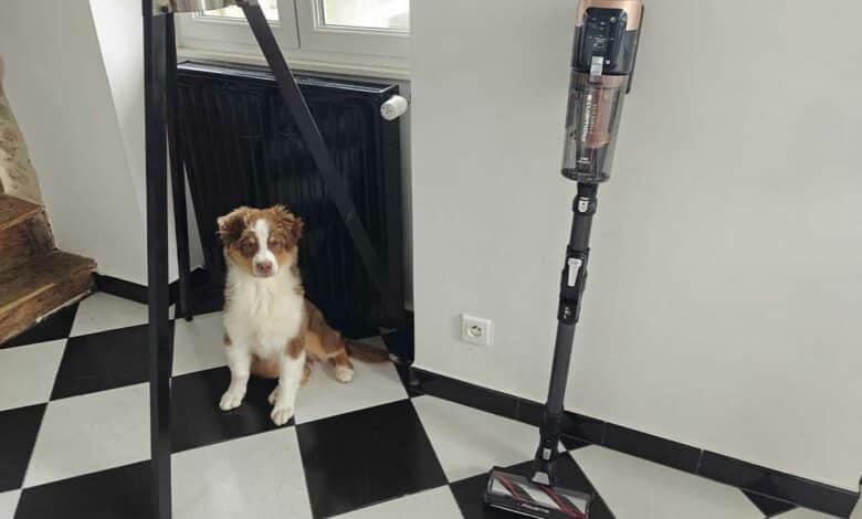 L'aspirateur balai Rowenta X-Force Flex 14.80