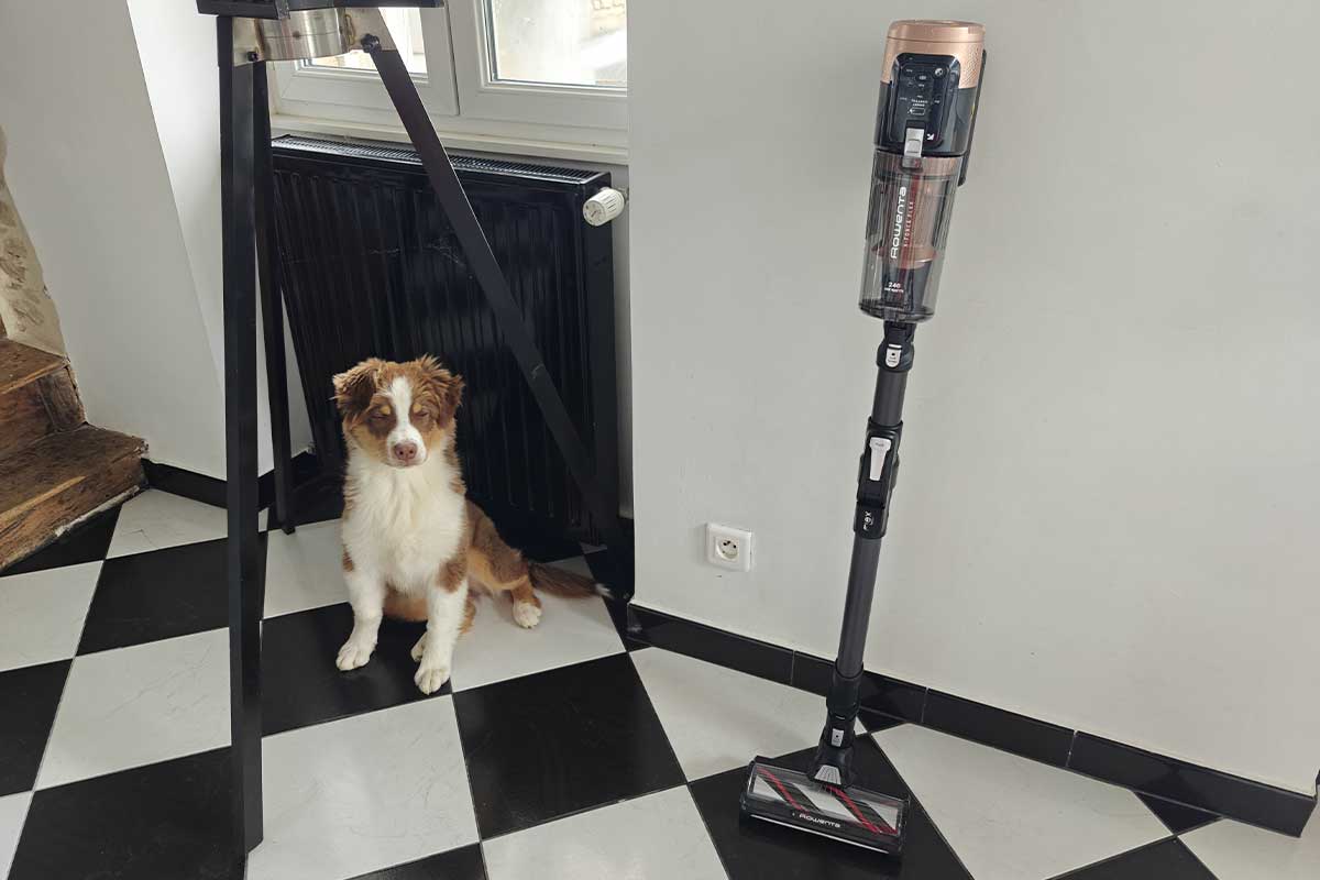 L'aspirateur balai Rowenta X-Force Flex 14.80