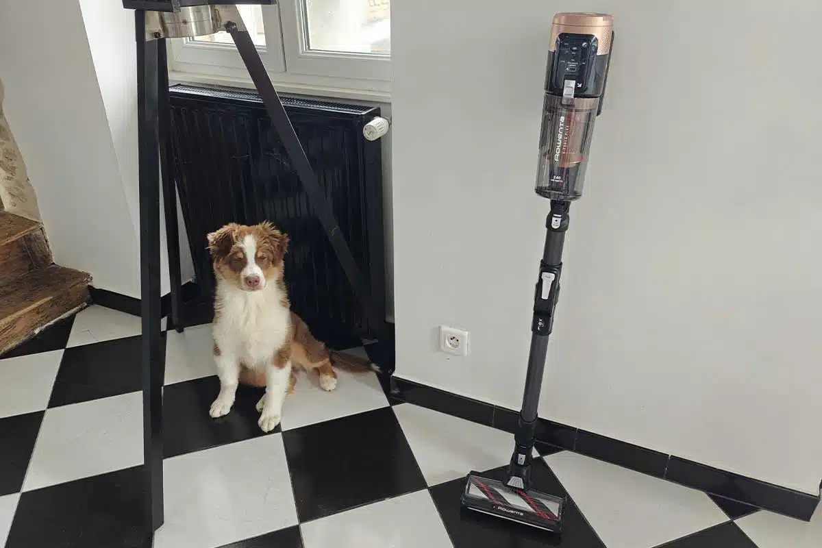 L'aspirateur balai Rowenta X-Force Flex 14.80
