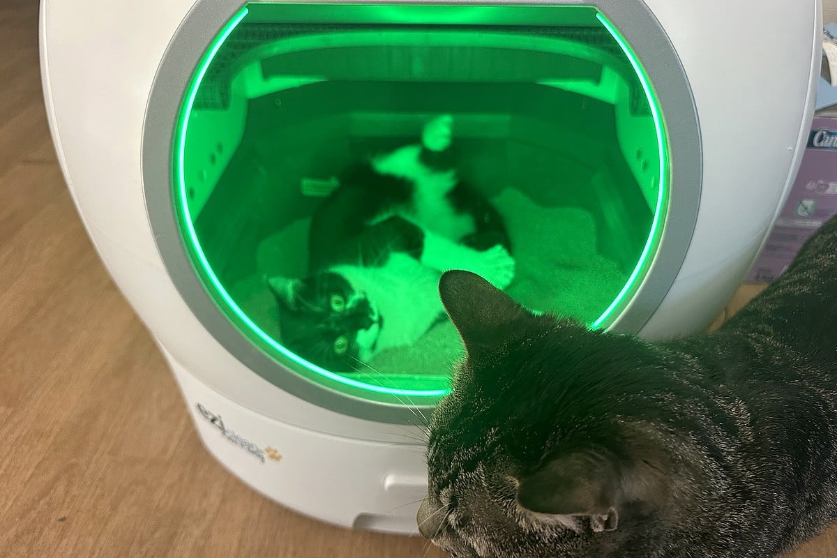 Namie et Gazo valident en duo l’espace confortable de la litière connectée EziClean K10i !