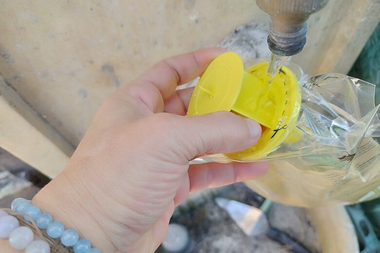 Remplissage du piège à mouches Edialux à l’eau : simple et sans produit à manipuler.