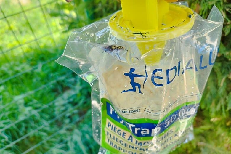 Premier appât suspendu, le piège à mouches Edialux commence à attirer ses premières victimes.