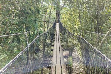 Un magnifique pont suspendu.
