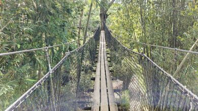Un magnifique pont suspendu.