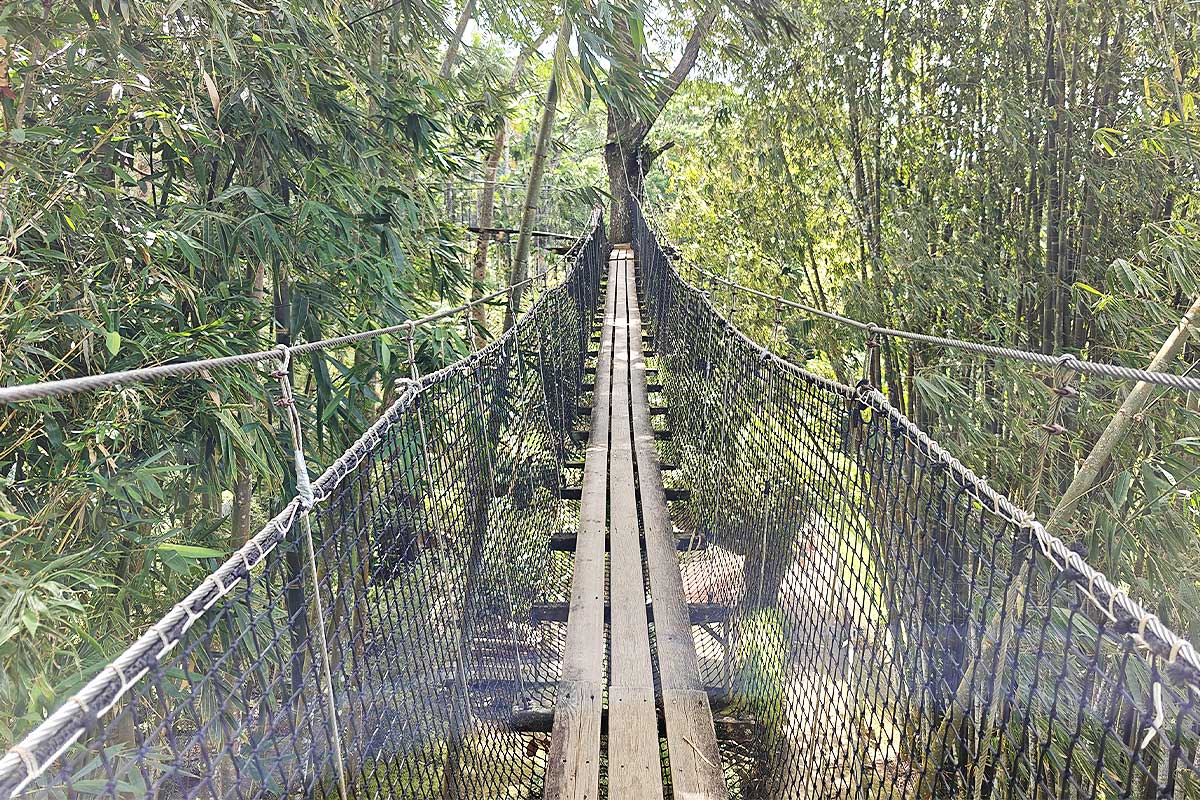 Un magnifique pont suspendu.