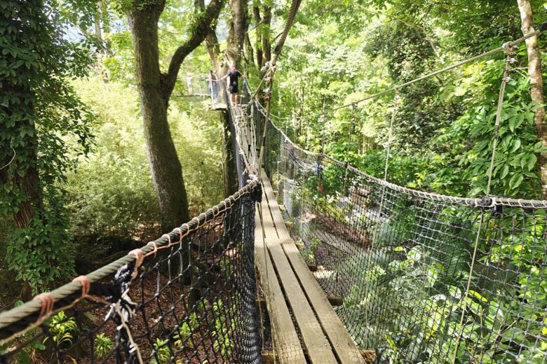 Les passerelles au-dessus des jardins Balada.