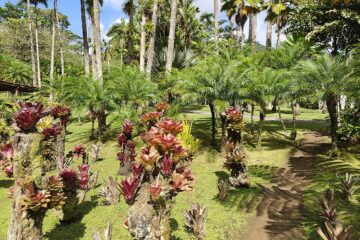 Visite des jardins Balada en Martinique.