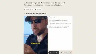 AI Video Cut