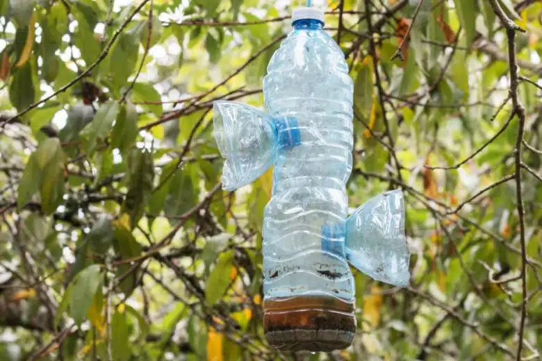 Un piège maison avec des bouteilles en plastique.