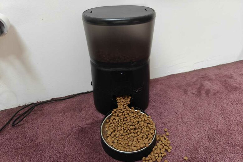 Un distributeur de croquettes pour chat.