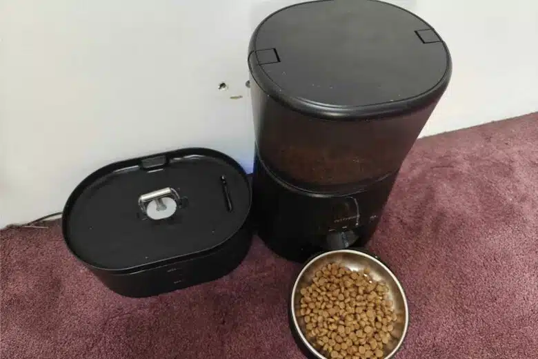 Distributeurs d'eau et de nourriture pour chats.