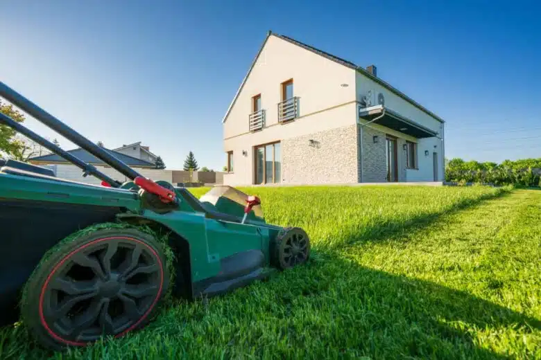 Tonte du jardin avec une tondeuse.