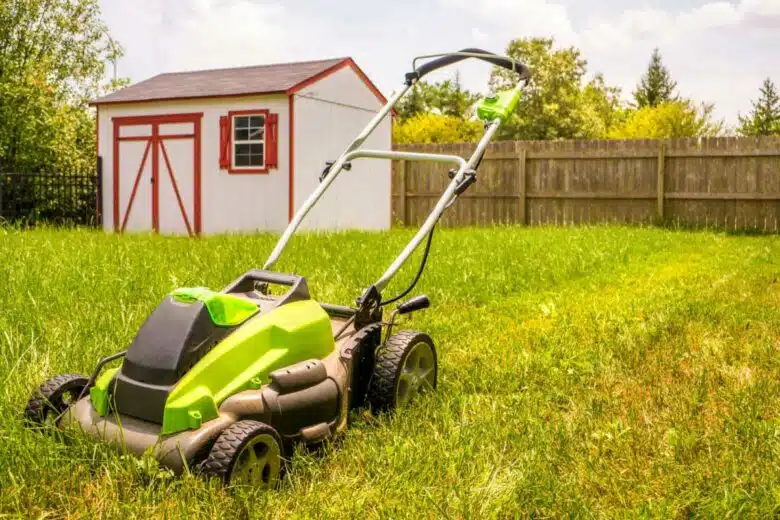 Entretien du jardin avec la tonte de la pelouse.
