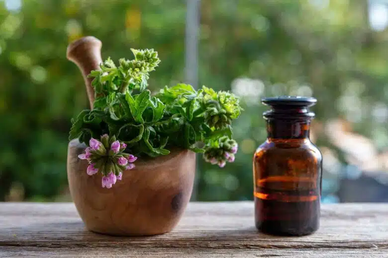 La citronnelle sous forme de plante et d'huile essentielle.