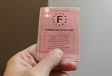 Le célèbre permis de conduire rose.