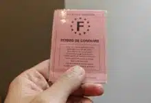 Le célèbre permis de conduire rose.