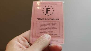 Le célèbre permis de conduire rose.