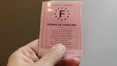 Le célèbre permis de conduire rose.