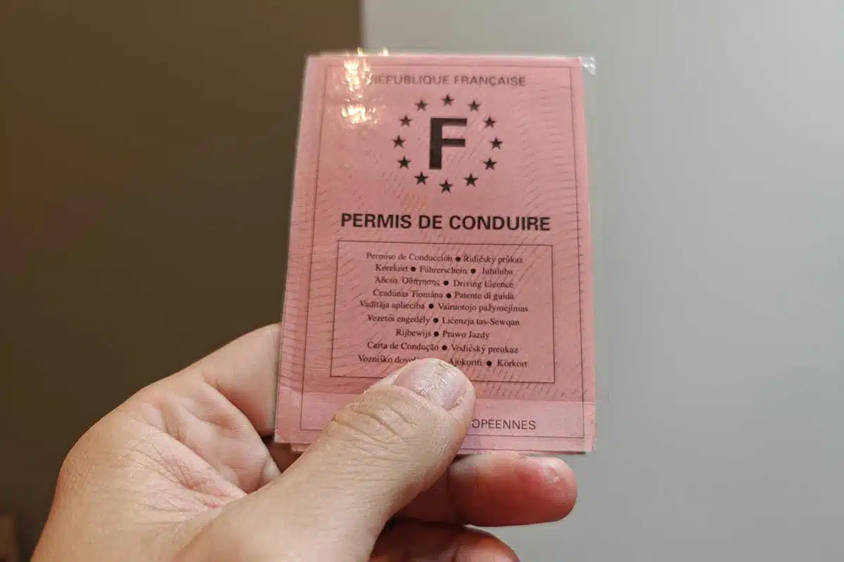 Le célèbre permis de conduire rose.