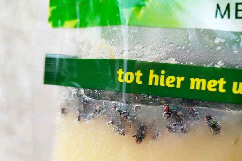 Des mouches prises dans le piège.