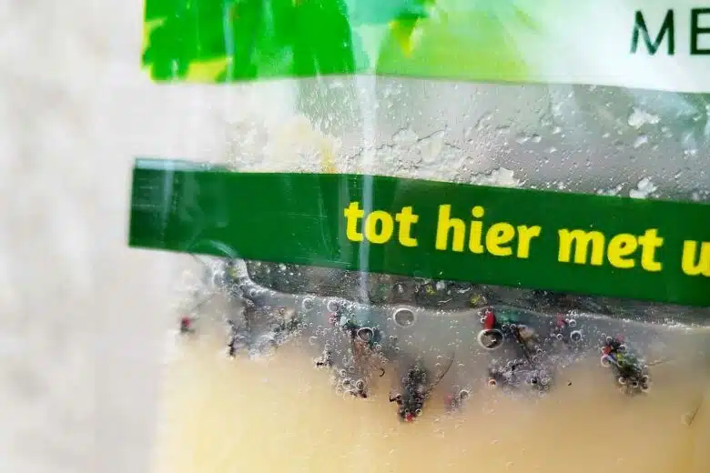 Des mouches prises dans le piège.