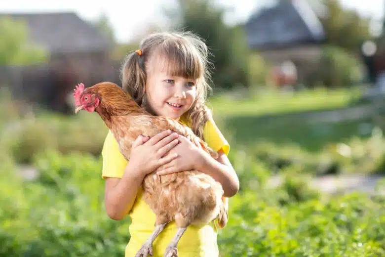 Une petite fille tient une poule dans ses bras.